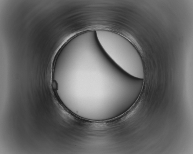 X0000088430844200705220852