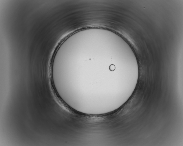 X0000088430848200705220852