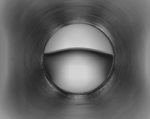 X0000088430849200705220852