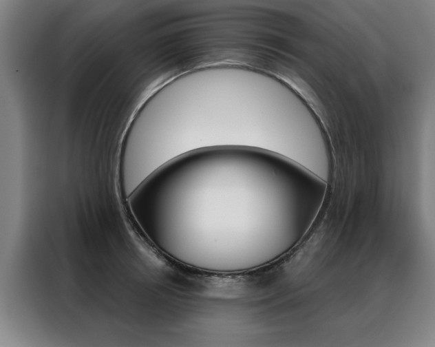 X0000088430850200705220852