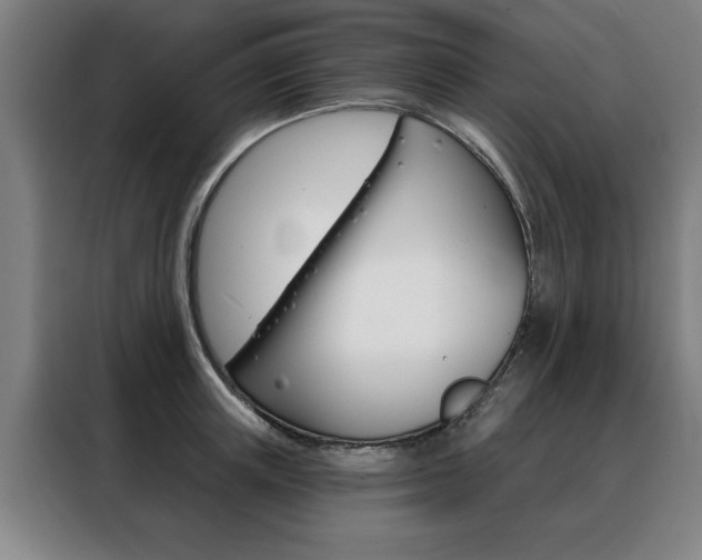 X0000088430851200705220852