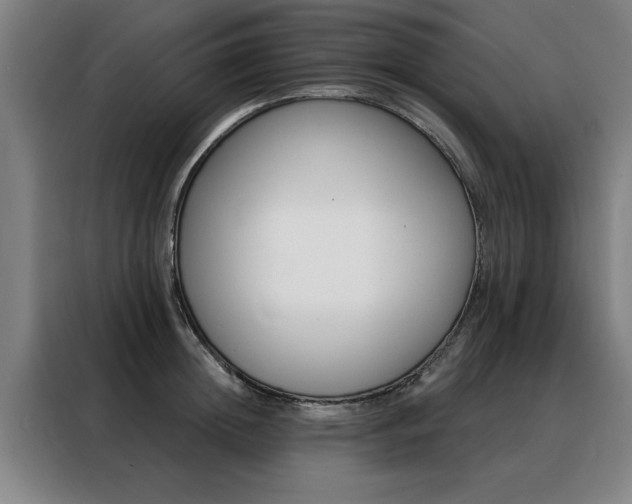 X0000088430852200705220852