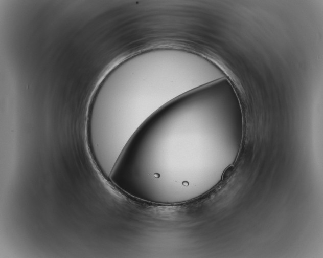 X0000088430853200705220852