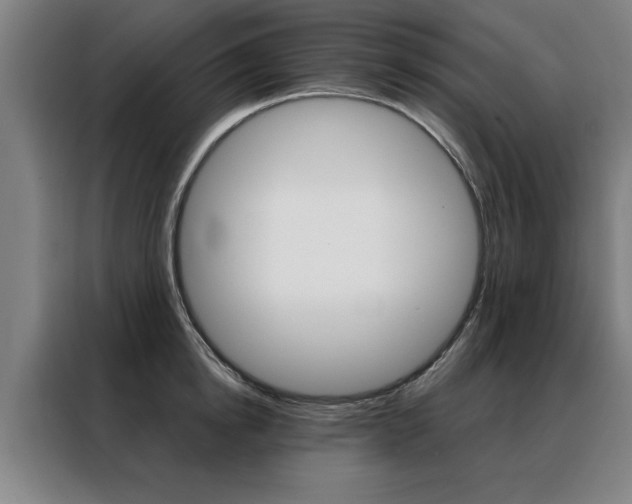 X0000088430854200705220852