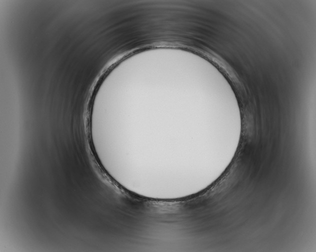 X0000088430856200705220852