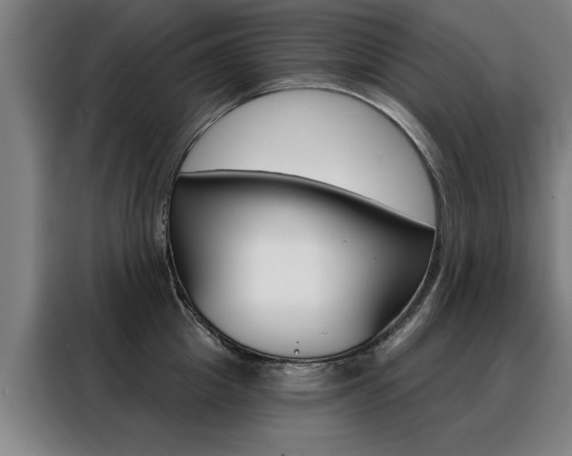 X0000088430857200705220852