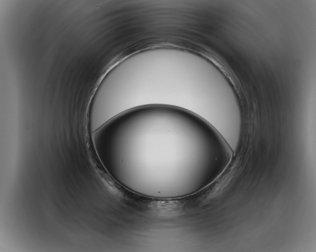 X0000088430858200705220852