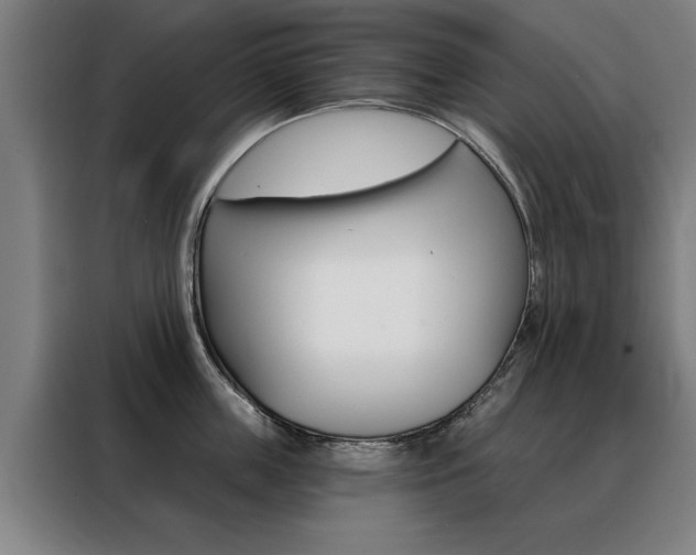 X0000088430859200705220852