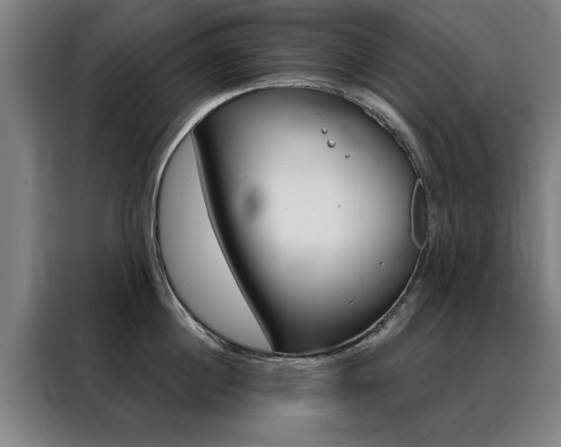 X0000088430860200705220852