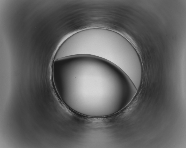 X0000088430862200705220852