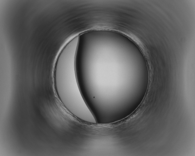X0000088430864200705220852