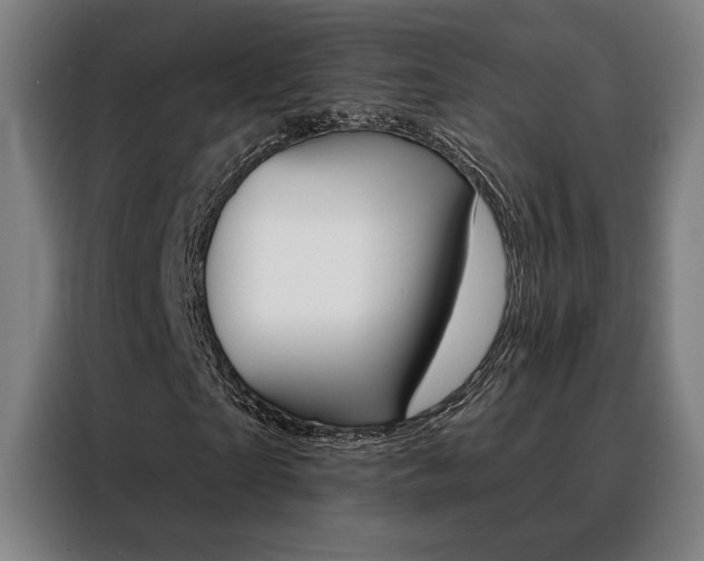 X0000088430865200705220852