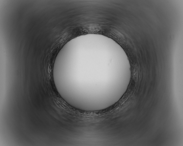 X0000088430866200705220852