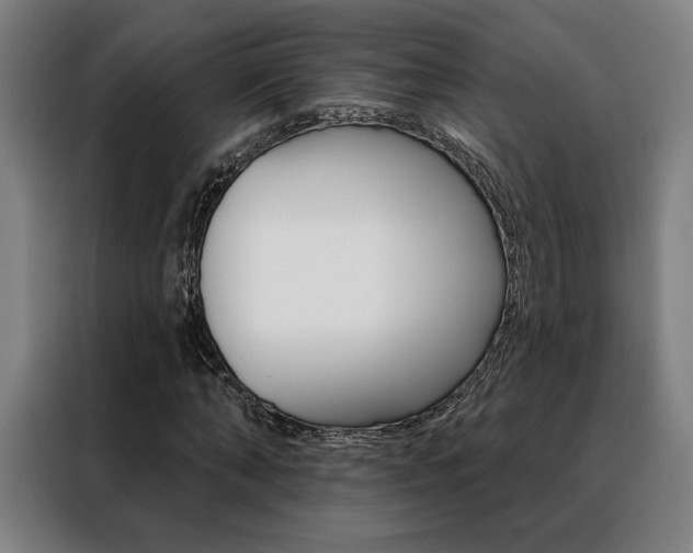 X0000088430870200705220852