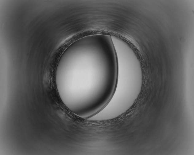 X0000088430872200705220852