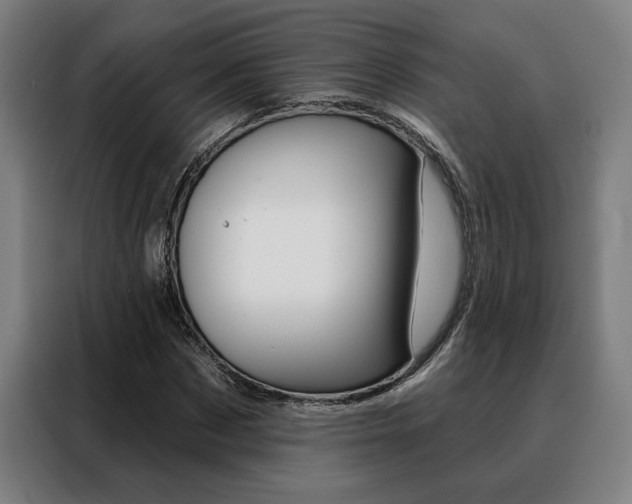 X0000088430873200705220852