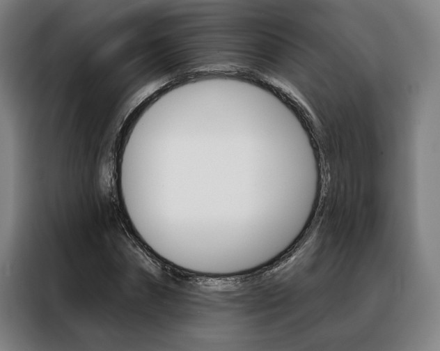 X0000088430874200705220852
