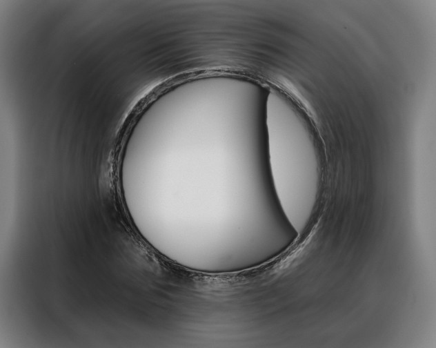 X0000088430875200705220852