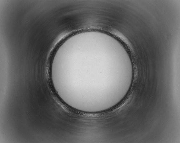 X0000088430878200705220852