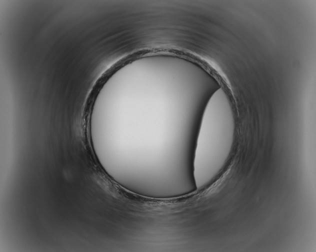 X0000088430879200705220852