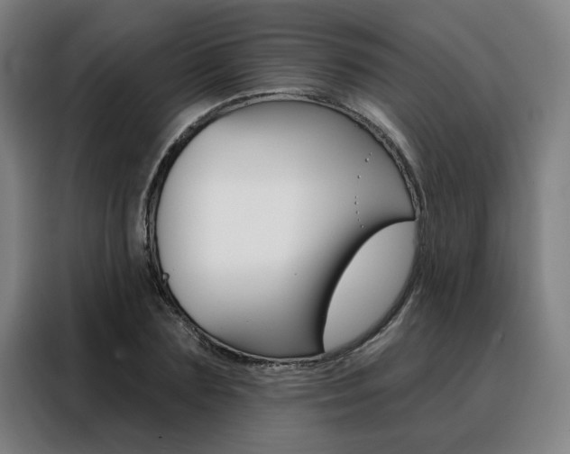 X0000088430883200705220852