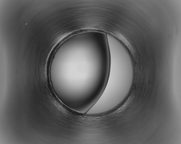 X0000088430884200705220852