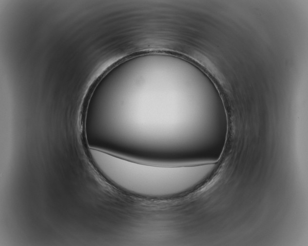 X0000088430885200705220852