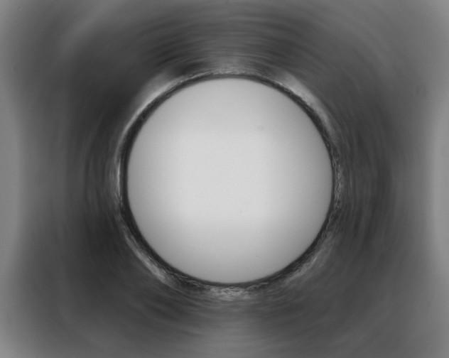 X0000088430886200705220852