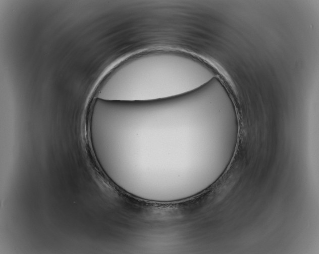 X0000088430887200705220852