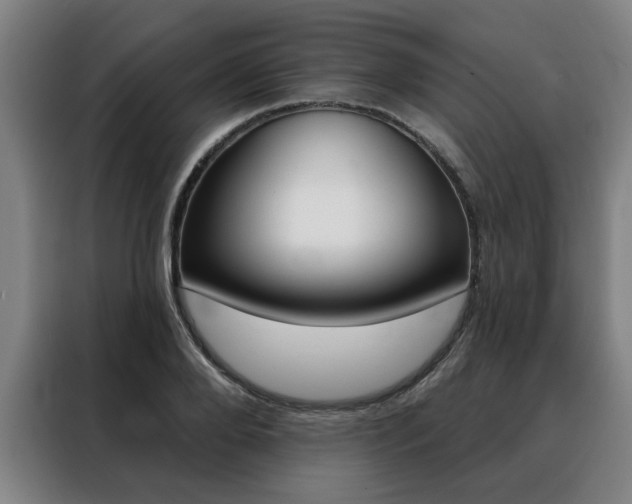X0000088430888200705220852