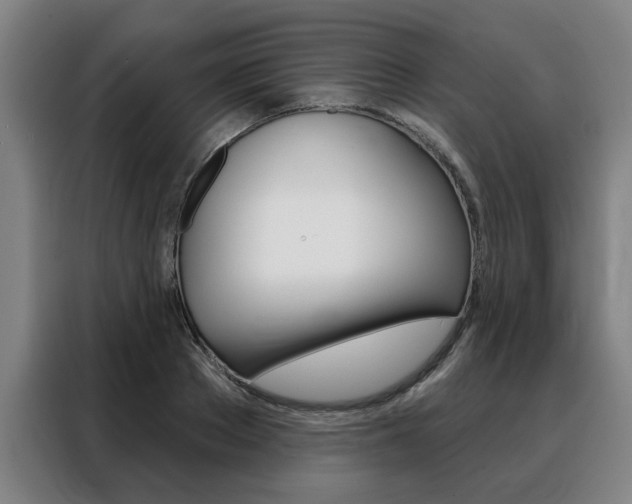 X0000088430889200705220852