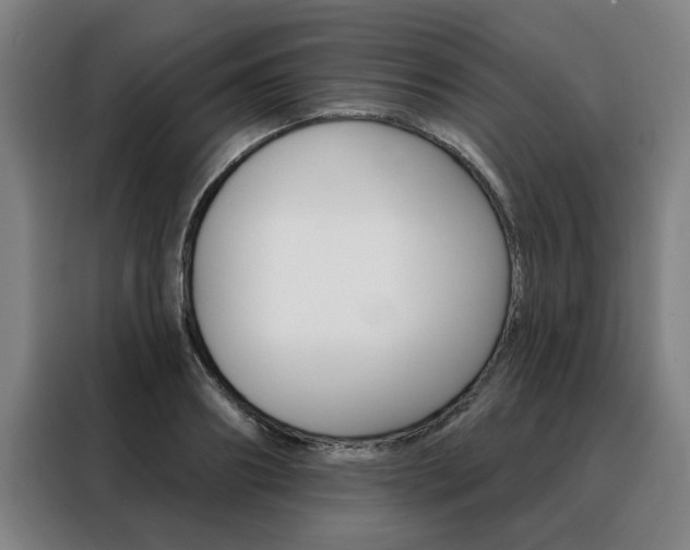 X0000088430890200705220852