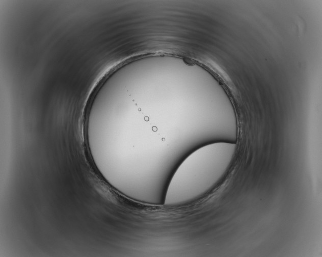 X0000088430891200705220852