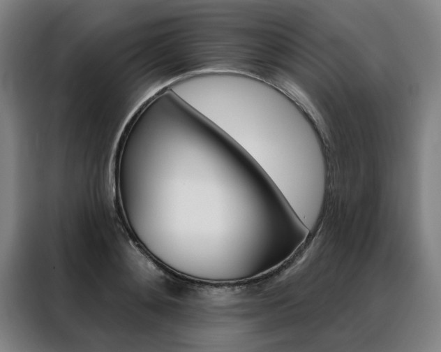 X0000088430892200705220852