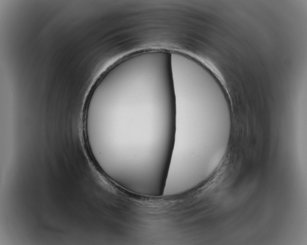 X0000088430895200705220851