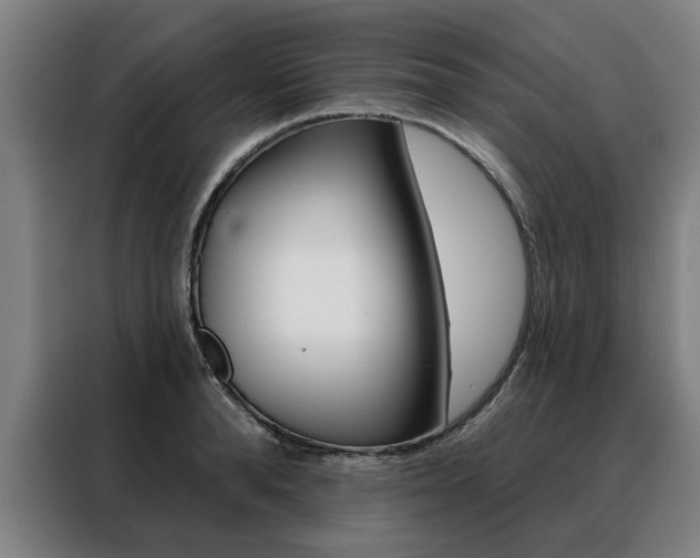 X0000088430896200705220851