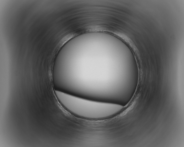 X0000088430897200705220851