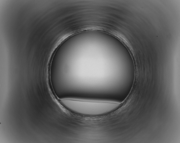X0000088430898200705220851