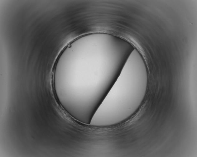 X0000088430899200705220851