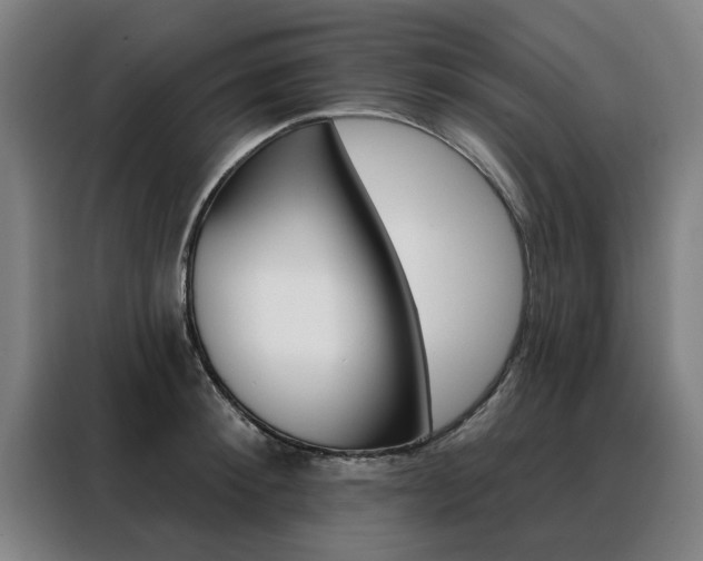 X0000088430900200705220851