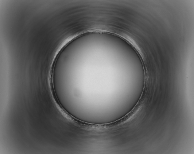 X0000088430901200705220851