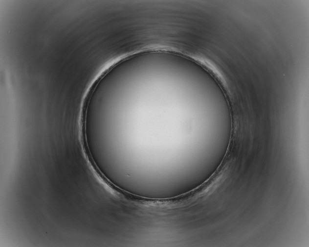 X0000088430902200705220851