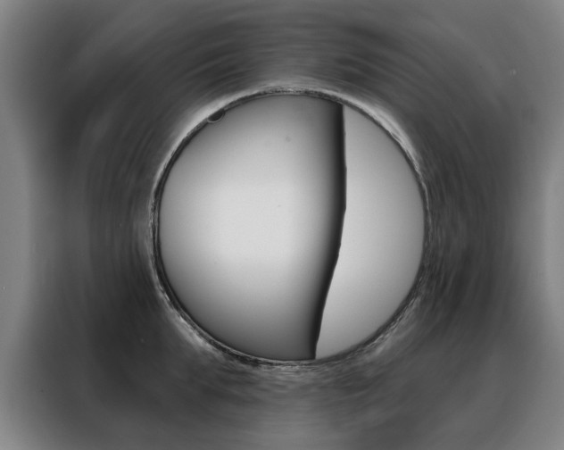 X0000088430903200705220851