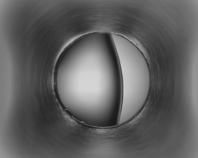 X0000088430904200705220851