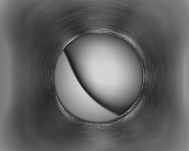 X0000088430905200705220851
