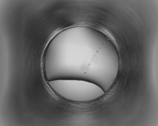 X0000088430907200705220851