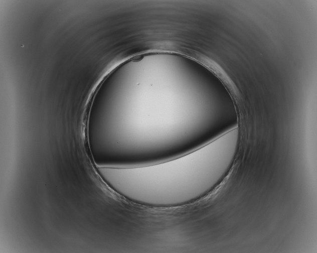 X0000088430908200705220851