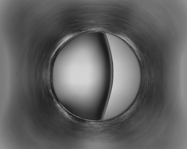 X0000088430910200705220851