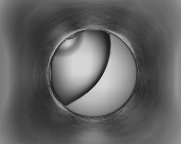 X0000088430911200705220851