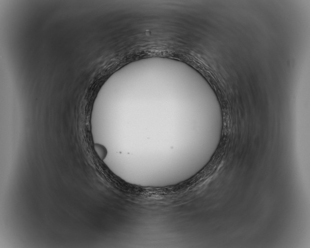 X0000088430913200705220850